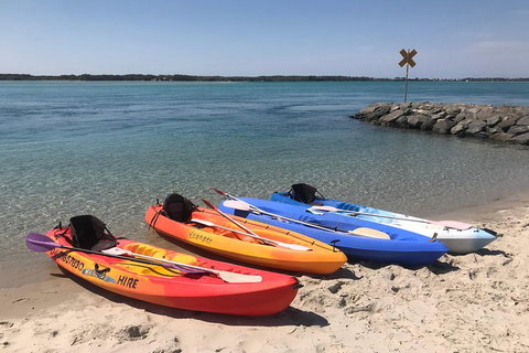 1-Hour Single Or Double Kayak Hire On Golden Beach, Caloundra - Stayed 1