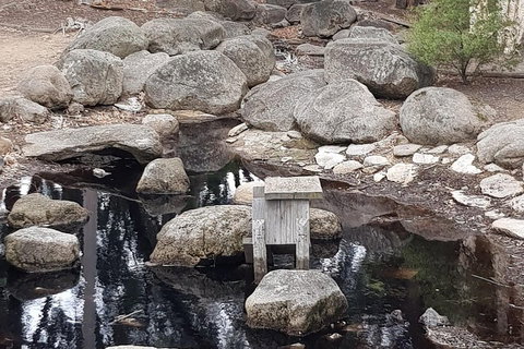 Bendigo, Echuca & The Mighty Murray - Stayed 1