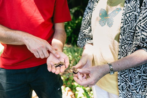 Perth Arcades And Laneways Walking Tour - Stayed 0