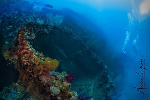 Scuba Dive The S.S. Yongala Wreck On The Great Barrier Reef. - Stays Accommodation 3